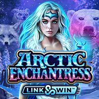 Arctic Enchantress